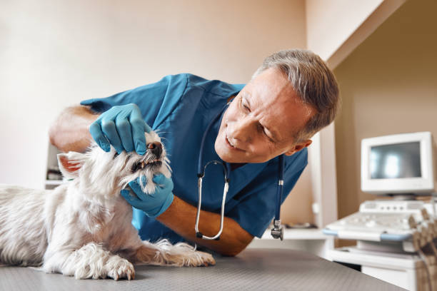  Center Hill, FL Emergency Dentist Pros